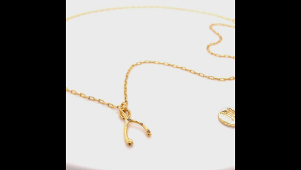 Delu - 14k Gold Wishbone Necklace (with Chain) - Original Sin Jewelry