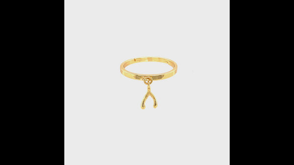A 360 video of the wishbone charm ring.